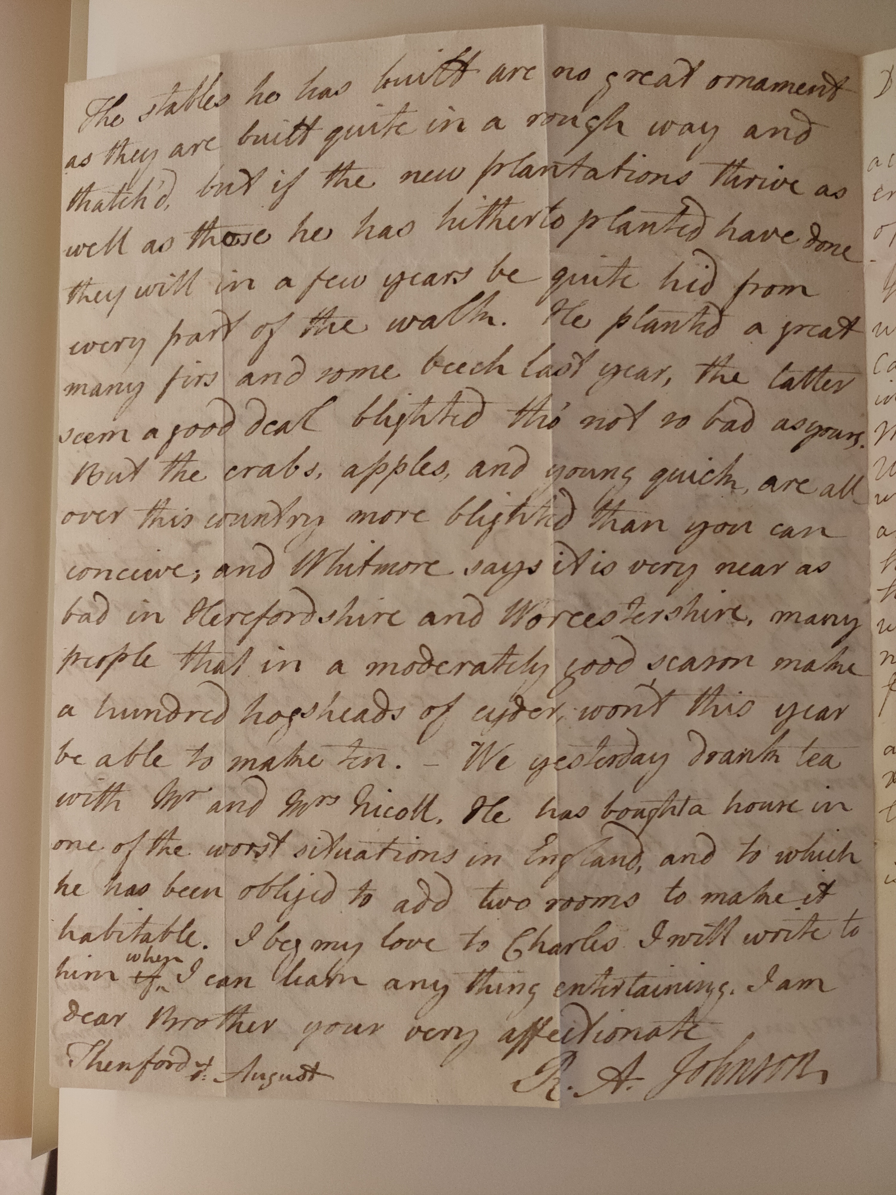 Image #2 of letter: Robert Augustus Johnson to George William Johnson, 7 August
